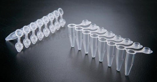 0.2ml PCR Tube With Flat Cap