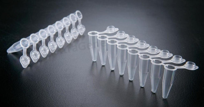 0.2ml PCR Tube With Flat Cap