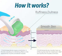 Ice Roller for Cooling Cryotherapy Tool for Puffiness, Pore Tightening & Skin Soothing