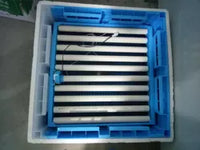 Automatic Egg Incubator