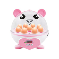 Small Egg Incubator