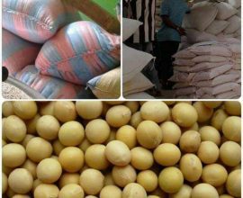 Bags Of Soya Beans