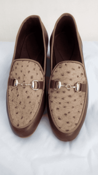 Brown &amp; Light Brown Ringged Horn