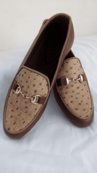 Brown &amp; Light Brown Ringged Horn