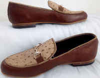 Brown &amp; Light Brown Ringged Horn