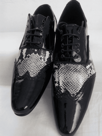 Black Mirror with Snake Skin Combi