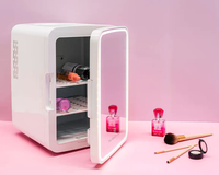 Beauty Fridge with Mirror & LED Light (4L) - Mini Skincare & Makeup Refrigerator, Cool & Warm
