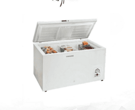 Rainbow 251lts Chest Freezer(RCF-307)