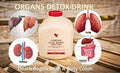 Forever Aloe Berry Nectar - Liver And Kidney Detox