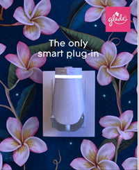Glade Smart Starter Kit Plus