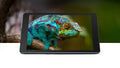 Samsung Galaxy Tab A 8.0"