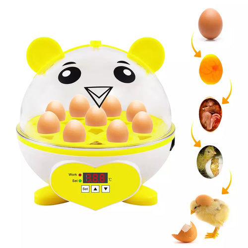 Small Egg Incubator Price for Sale - 9 eggs