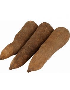 Yam - Puna (Five Tubers)
