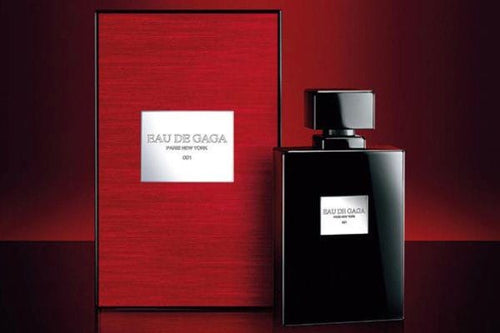Lady Gaga Eau de Gaga Eau de Parfum 1.7oz (50ml) Spray