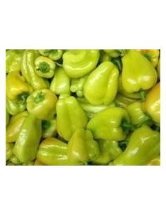 Green Pepper (Kpakpo Shito) 250g