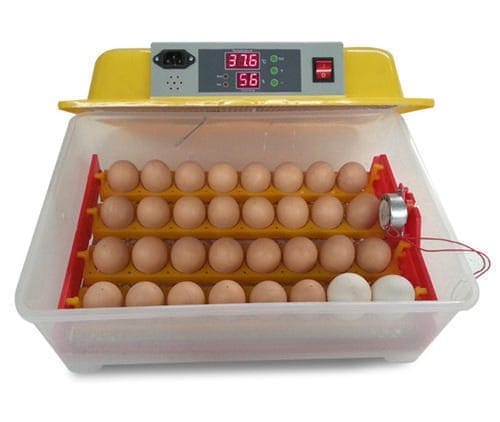 Best  Egg Incubator  56 eggs