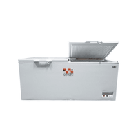 Shop Nasco 500L Double Door Chest Freezer BD-600
