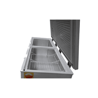 Quality Nasco 725L Double Door Chest Freezer BD-700