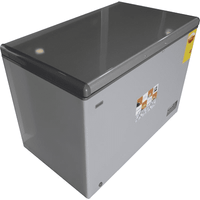 NASCO 316 L Chest Freezer (NAS-360)