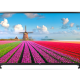 LG 55 INCH FULL HD SMART LED TV