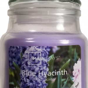Mainstays Jar Candle, Blue Hyacinth, 3 oz