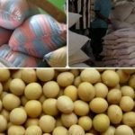 Bags Of Soya Beans