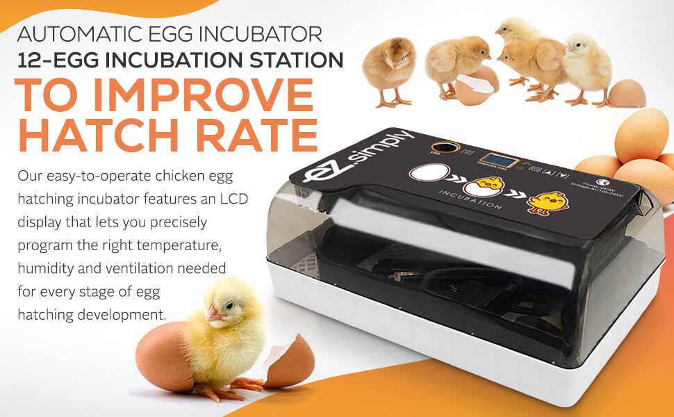 egg incubator 2