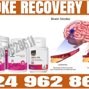 Vestige Stroke Natural Recovery Pack