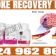 Vestige Stroke Natural Recovery Pack