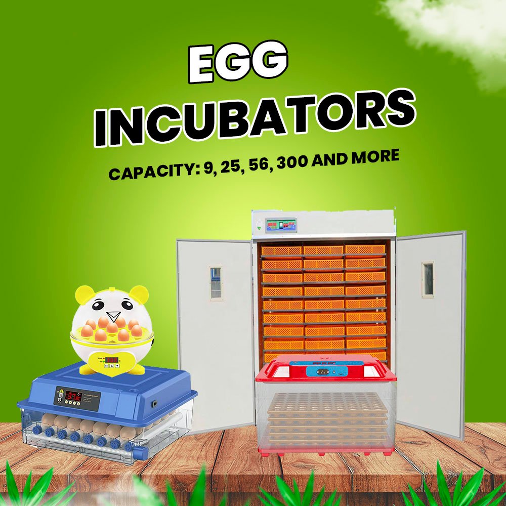 Egg Incubators Banner